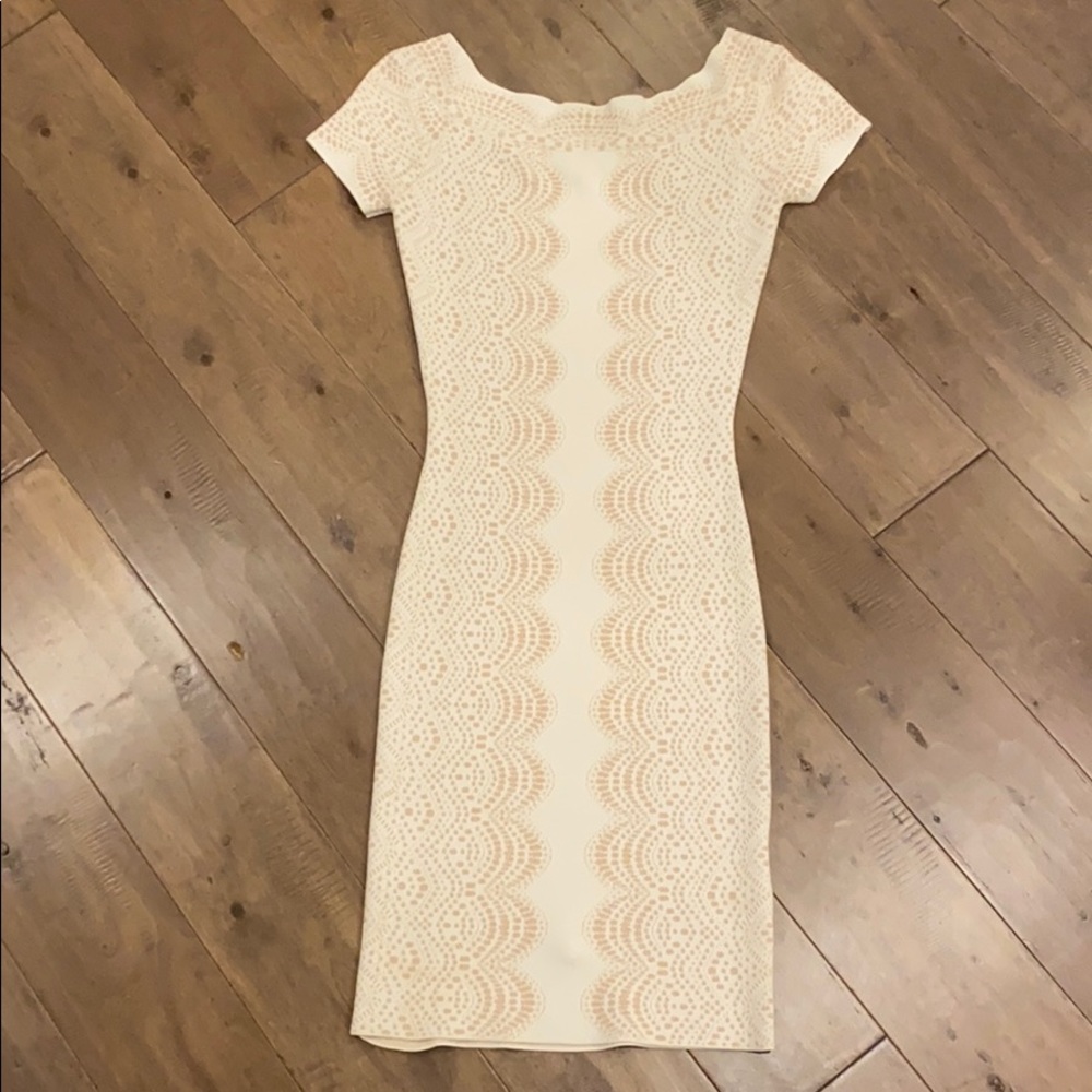 BCBG Bodycon Knit Dress